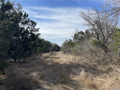 2135 Pr 3214 Dhanis TX 78850