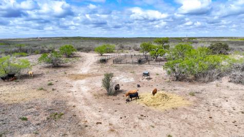 5518 County Road 310 Freer TX 78357
