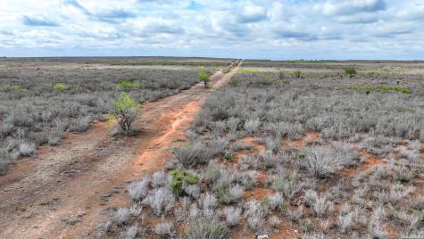 5518 County Road 310 Freer TX 78357