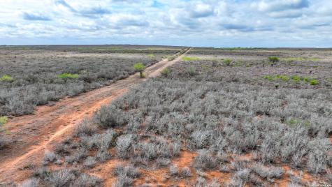 5518 County Road 310 Freer TX 78357