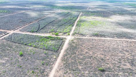 5518 County Road 310 Freer TX 78357