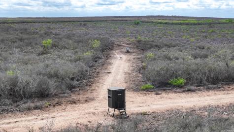 5518 County Road 310 Freer TX 78357