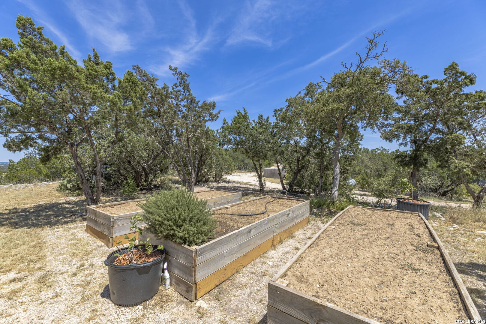 1479 Sd 65035 Rocksprings TX 78880