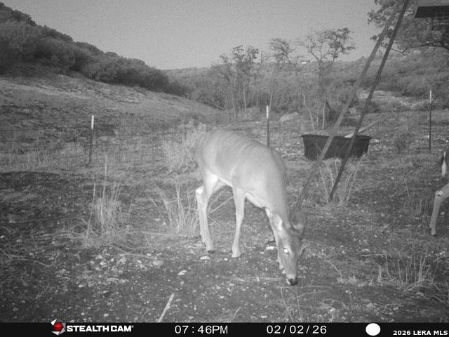 1479 Sd 65035 Rocksprings TX 78880