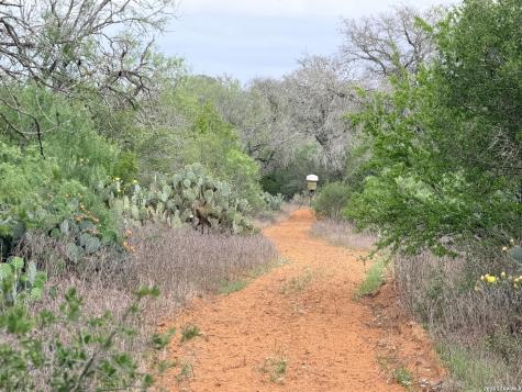 3980 Highway 173 Jourdanton TX 78026