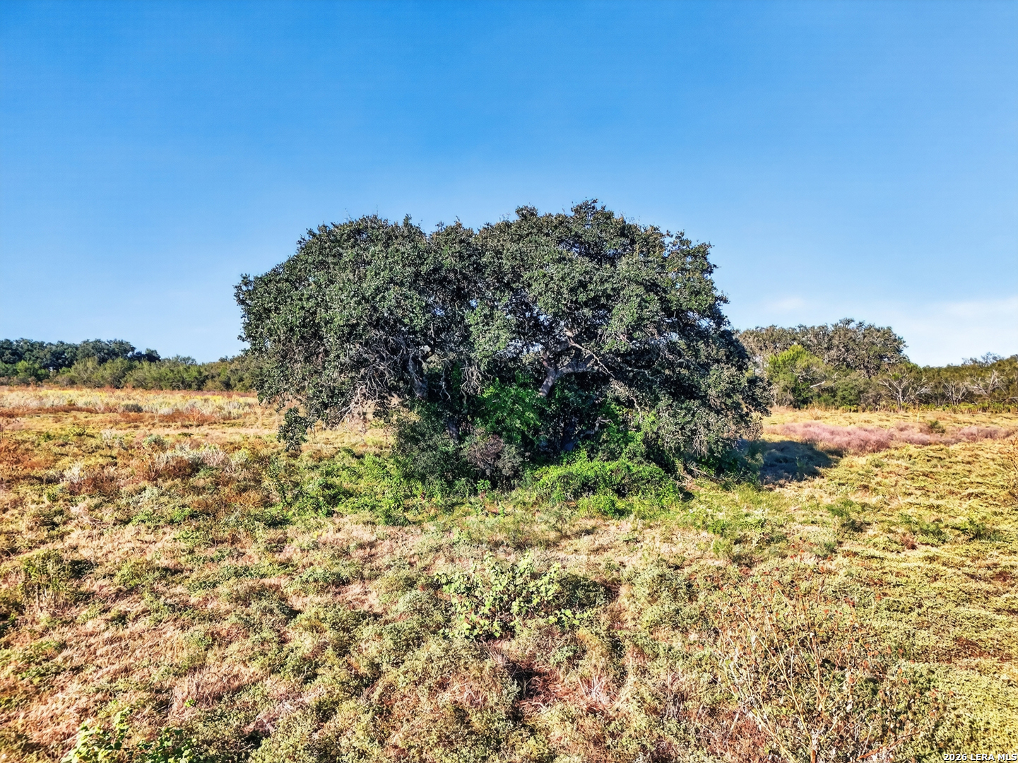 Lot 134 Fm 1796 Dhanis TX 78850