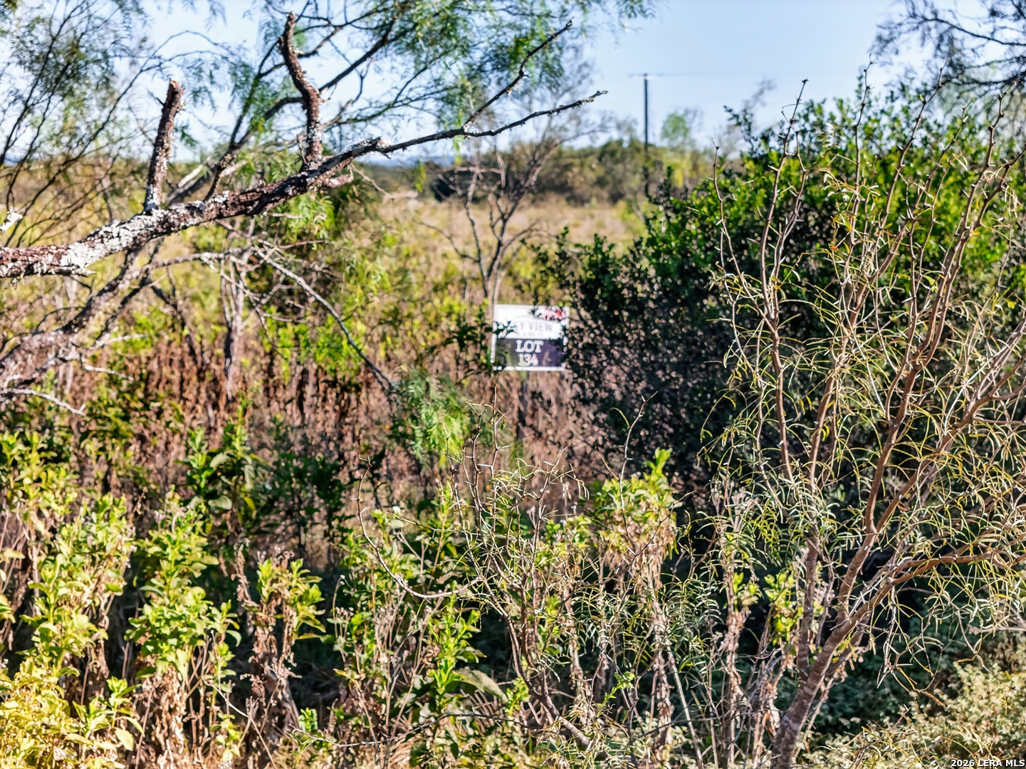 Lot 134 Fm 1796 Dhanis TX 78850