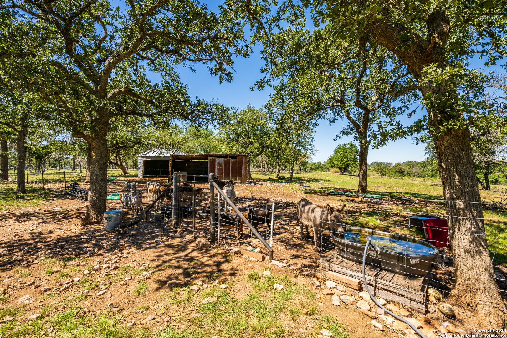 10 Das Landing Fredericksburg TX 78624