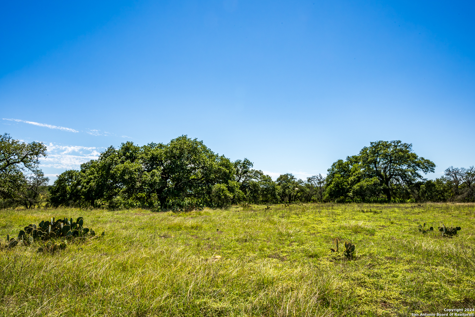 10 Das Landing Fredericksburg TX 78624