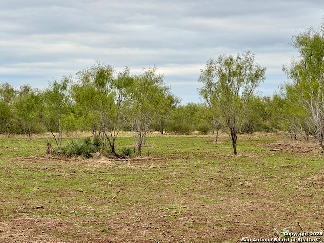 944 Fm 1049 Knippa TX 78870