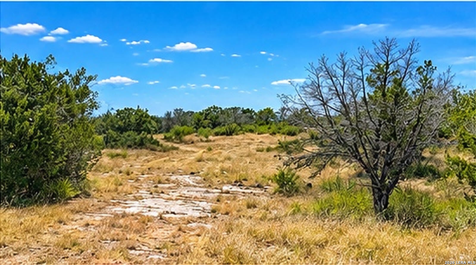 0 Jackson Ranch, Lot 125 Rocksprings TX 78880