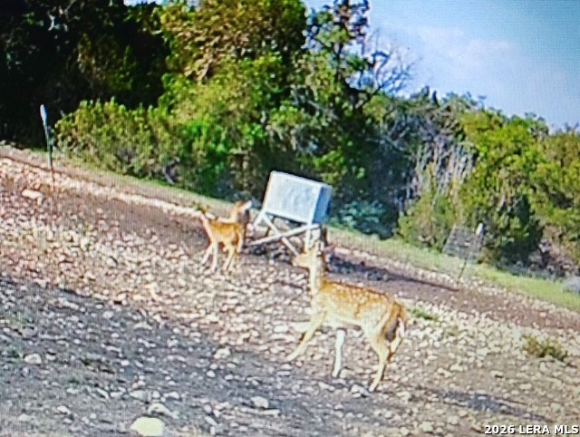 1863 Sd 74200 Rocksprings TX 78880