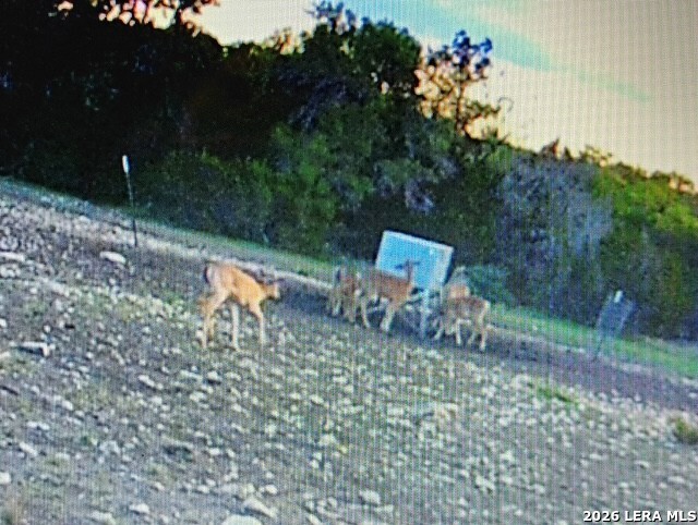 1863 Sd 74200 Rocksprings TX 78880