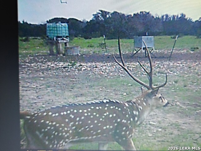 1863 Sd 74200 Rocksprings TX 78880