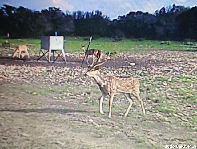 1863 Sd 74200 Rocksprings TX 78880