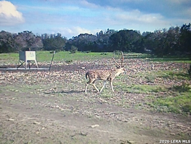 1863 Sd 74200 Rocksprings TX 78880