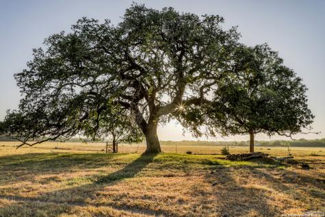 13089 Pearsall Road Atascosa TX 78002
