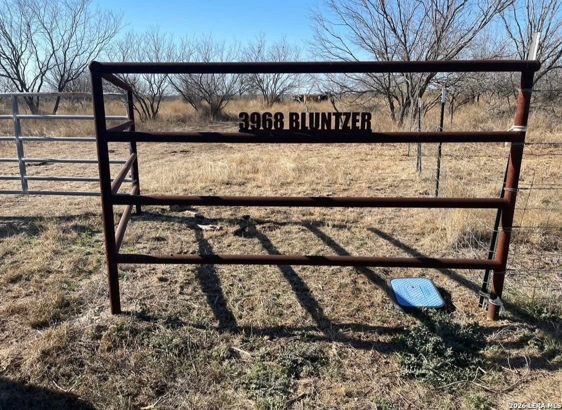 3968 Bluntzer Road Jourdanton TX 78026