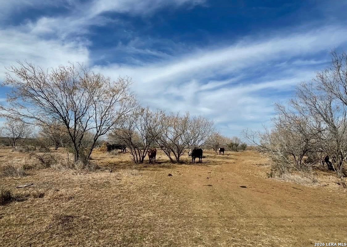 3968 Bluntzer Road Jourdanton TX 78026