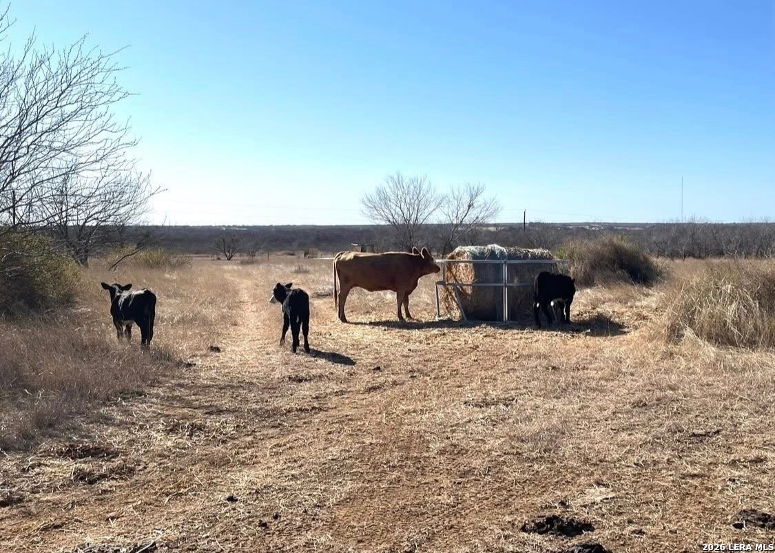3968 Bluntzer Road Jourdanton TX 78026