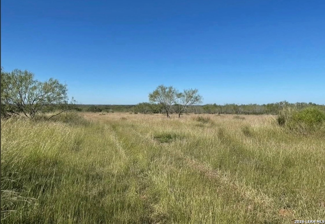 3968 Bluntzer Road Jourdanton TX 78026