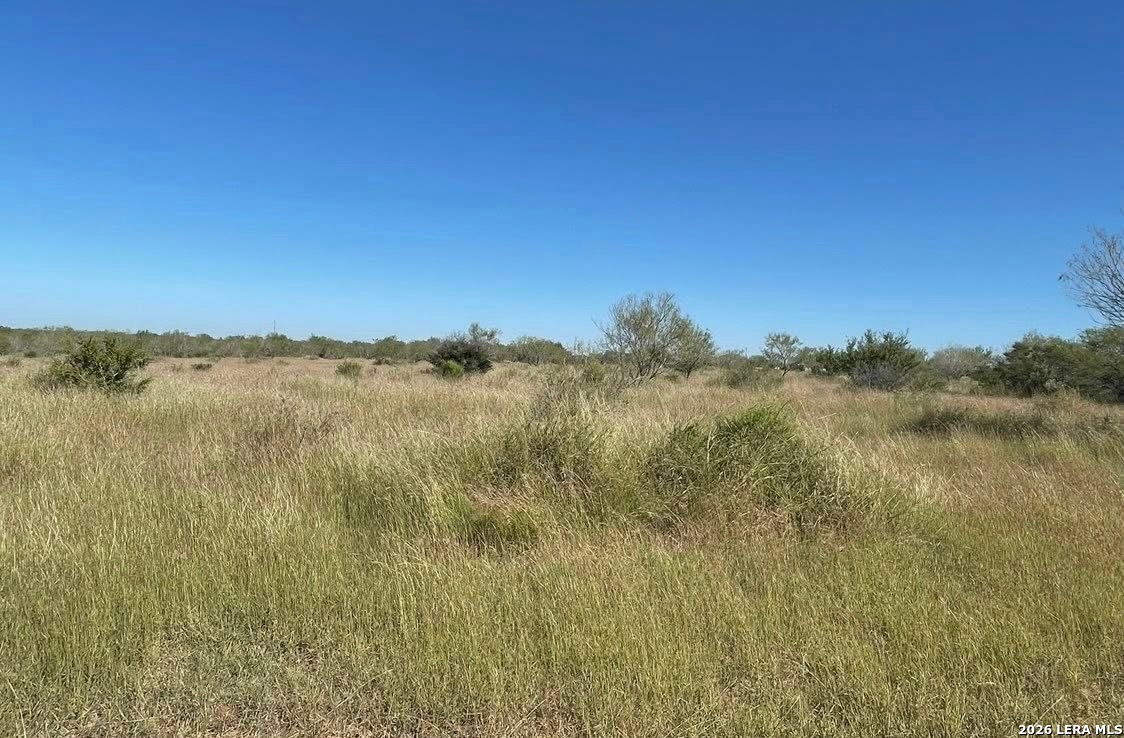 3968 Bluntzer Road Jourdanton TX 78026