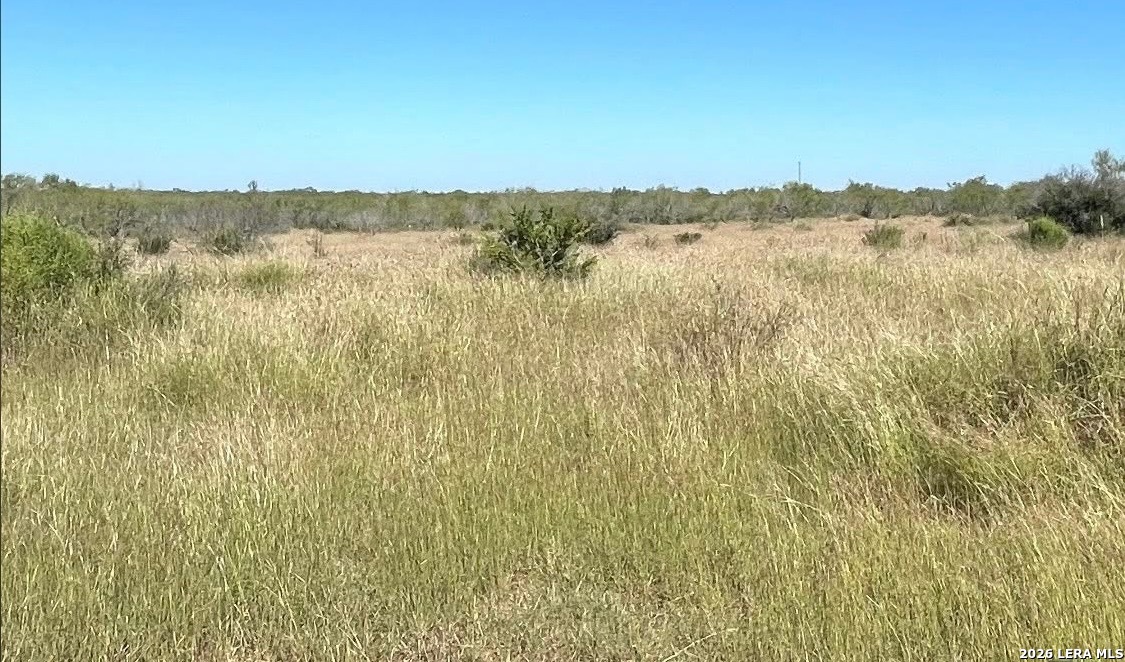 3968 Bluntzer Road Jourdanton TX 78026