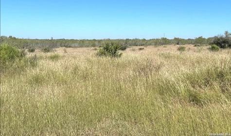 3968 Bluntzer Road Jourdanton TX 78026