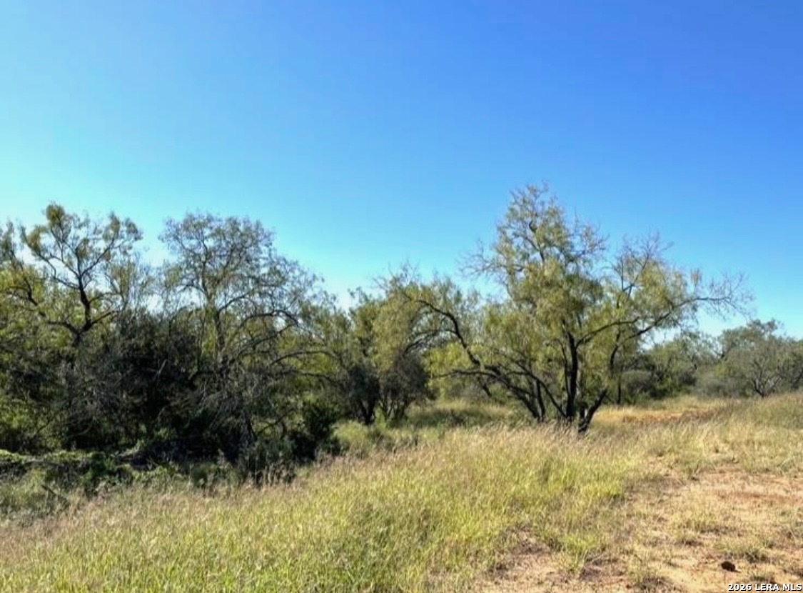 3968 Bluntzer Road Jourdanton TX 78026