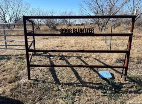 3968 Bluntzer Road Jourdanton TX 78026