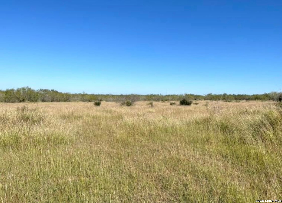3968 Bluntzer Road Jourdanton TX 78026