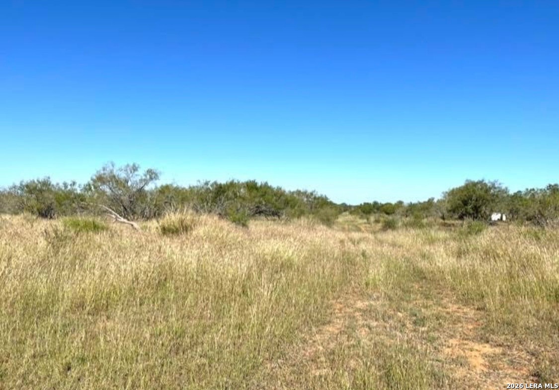 3968 Bluntzer Road Jourdanton TX 78026