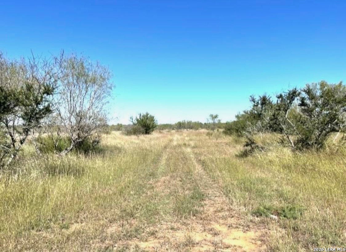 3968 Bluntzer Road Jourdanton TX 78026