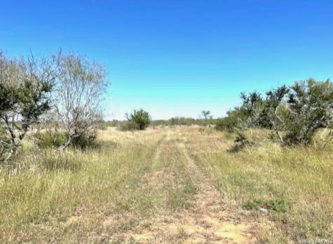 3968 Bluntzer Road Jourdanton TX 78026