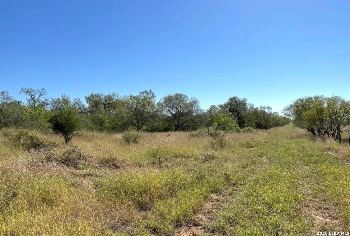 3968 Bluntzer Road Jourdanton TX 78026