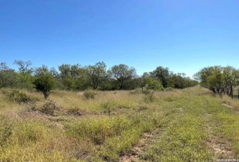 3968 Bluntzer Road Jourdanton TX 78026