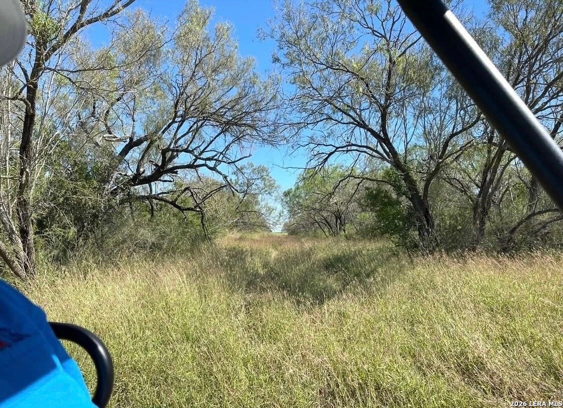 3968 Bluntzer Road Jourdanton TX 78026