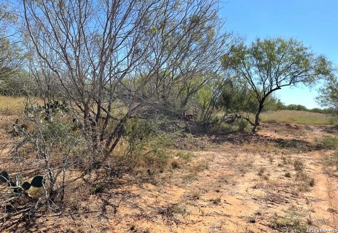 3968 Bluntzer Road Jourdanton TX 78026