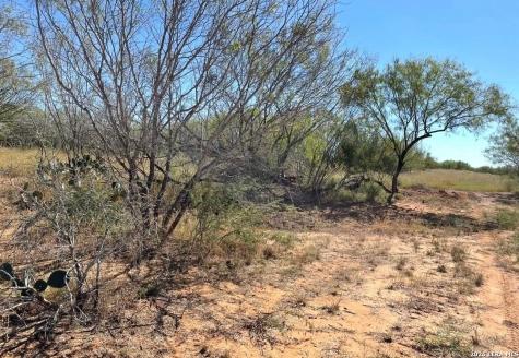 3968 Bluntzer Road Jourdanton TX 78026