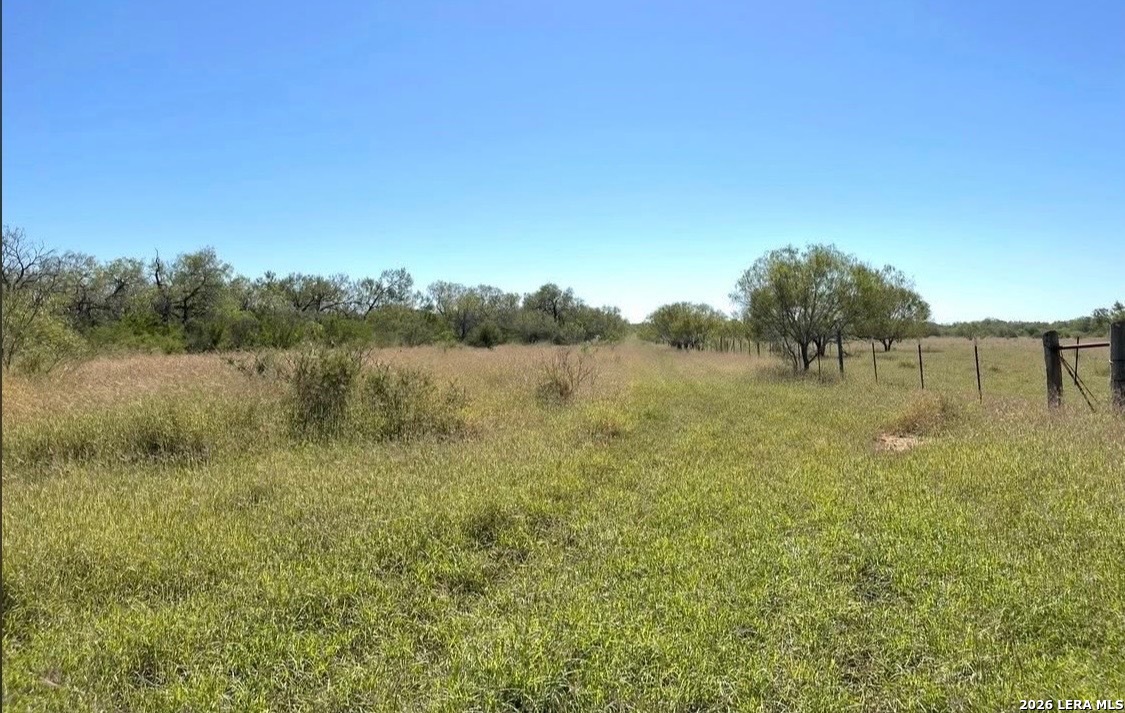 3968 Bluntzer Road Jourdanton TX 78026