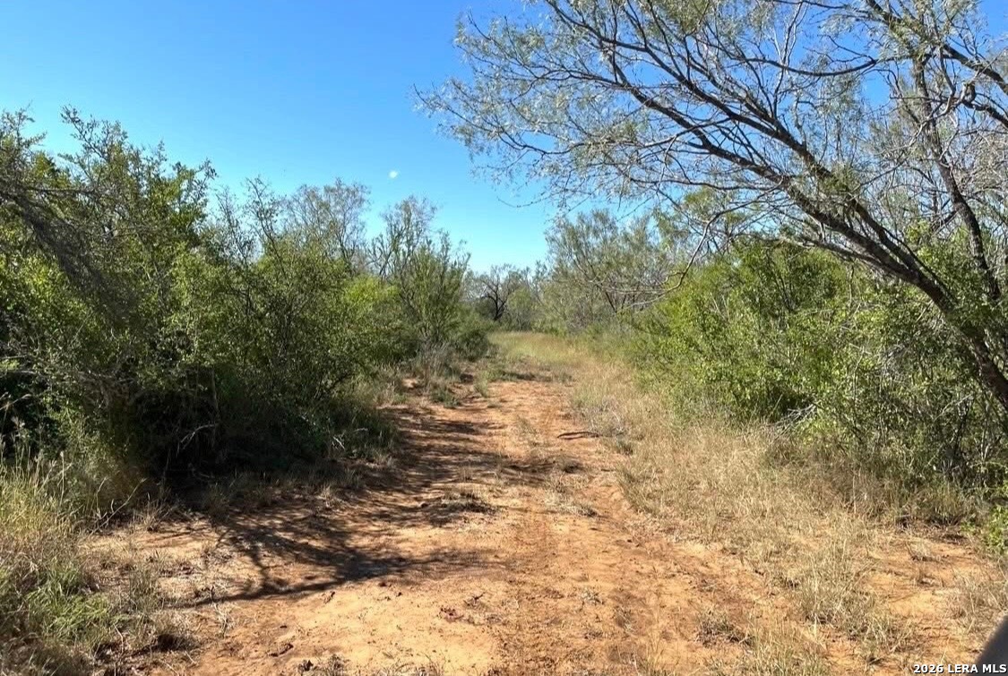 3968 Bluntzer Road Jourdanton TX 78026