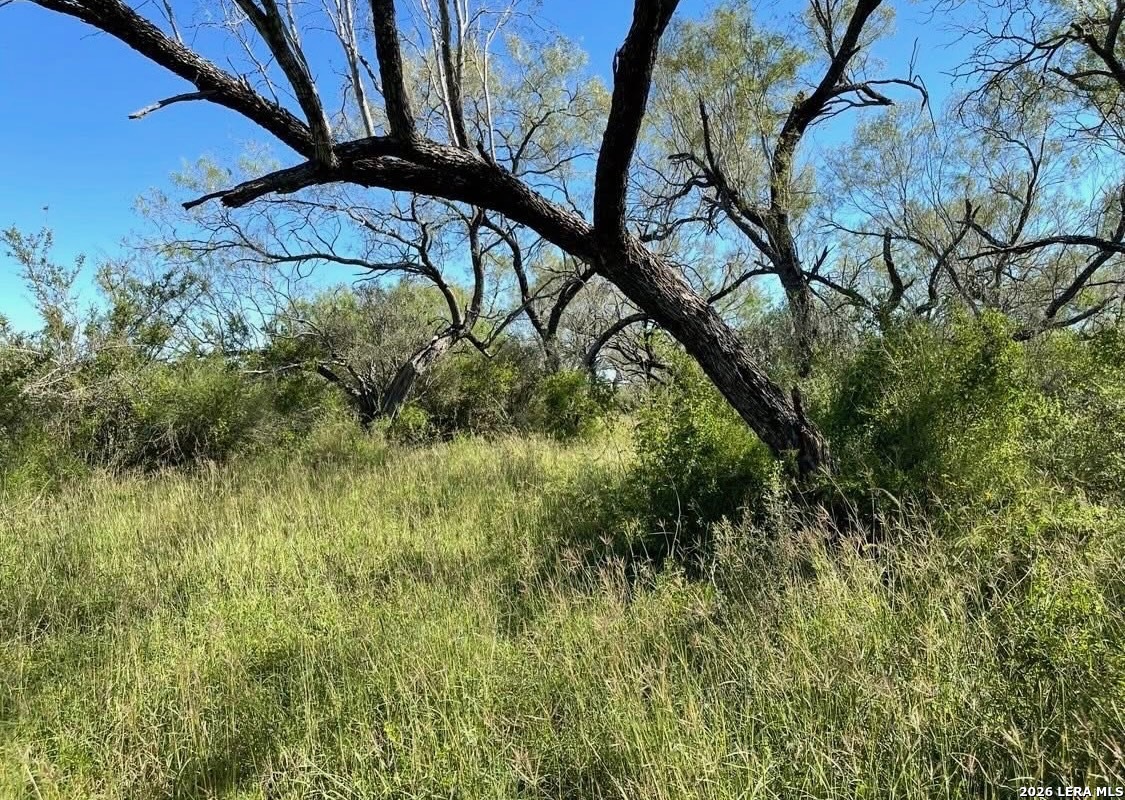 3968 Bluntzer Road Jourdanton TX 78026