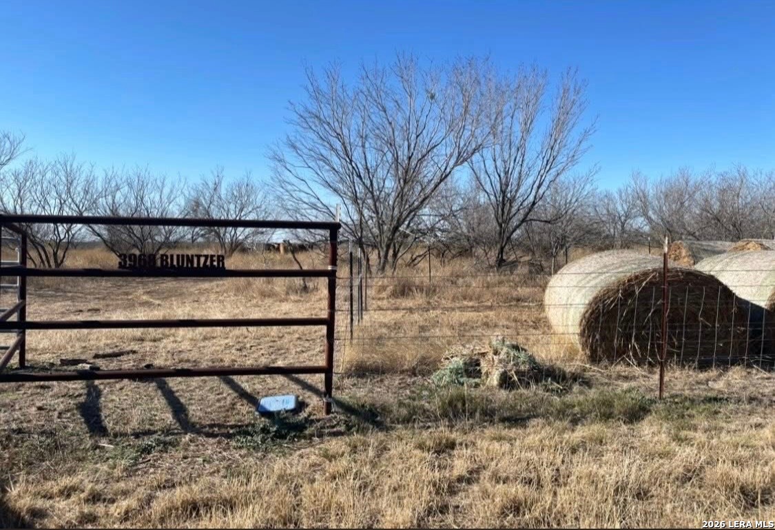 3968 Bluntzer Road Jourdanton TX 78026