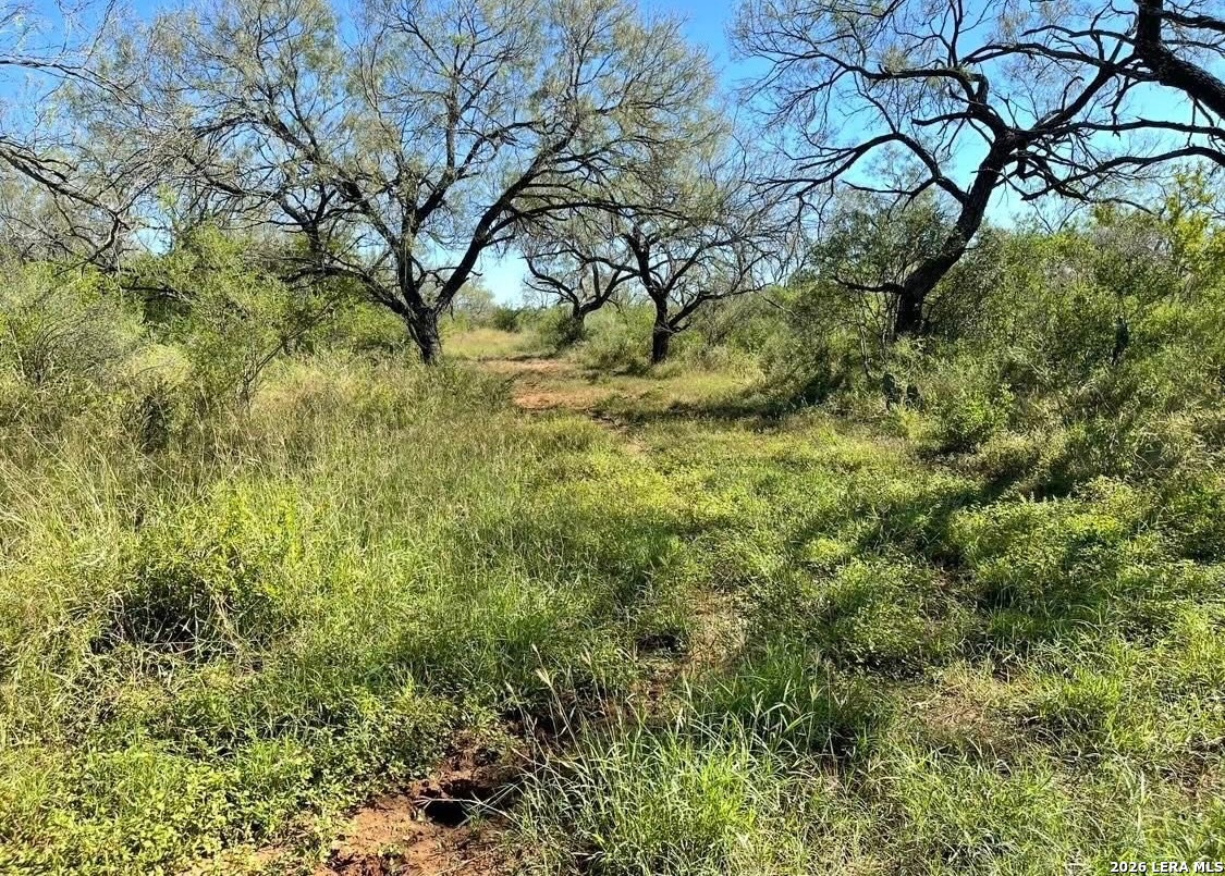 3968 Bluntzer Road Jourdanton TX 78026