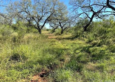 3968 Bluntzer Road Jourdanton TX 78026