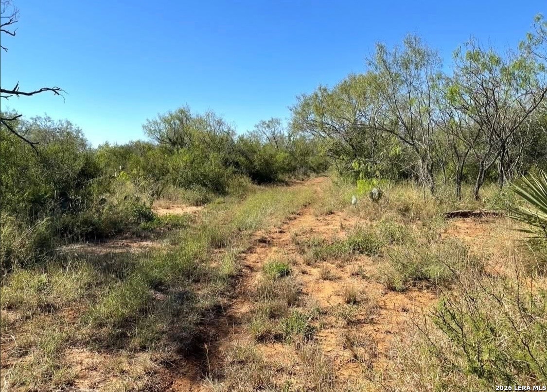3968 Bluntzer Road Jourdanton TX 78026
