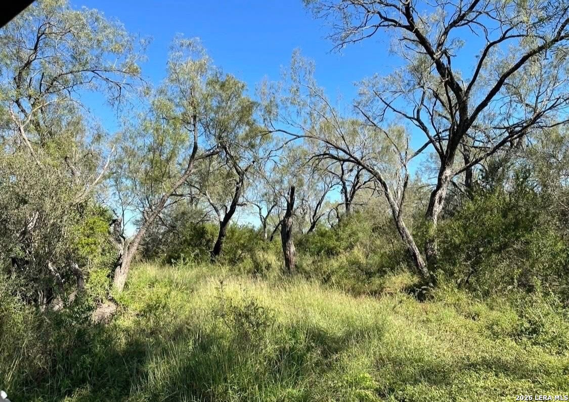 3968 Bluntzer Road Jourdanton TX 78026