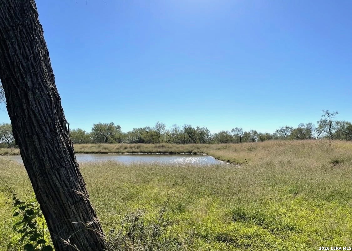 3968 Bluntzer Road Jourdanton TX 78026