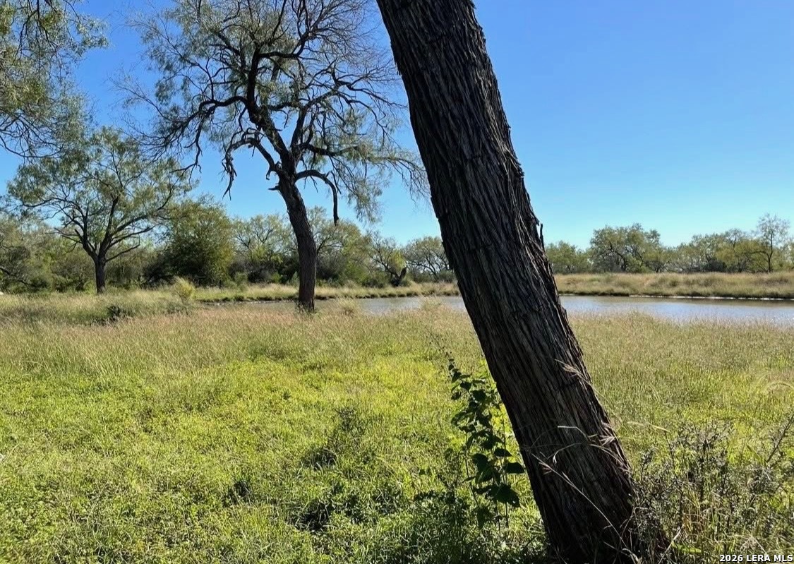 3968 Bluntzer Road Jourdanton TX 78026