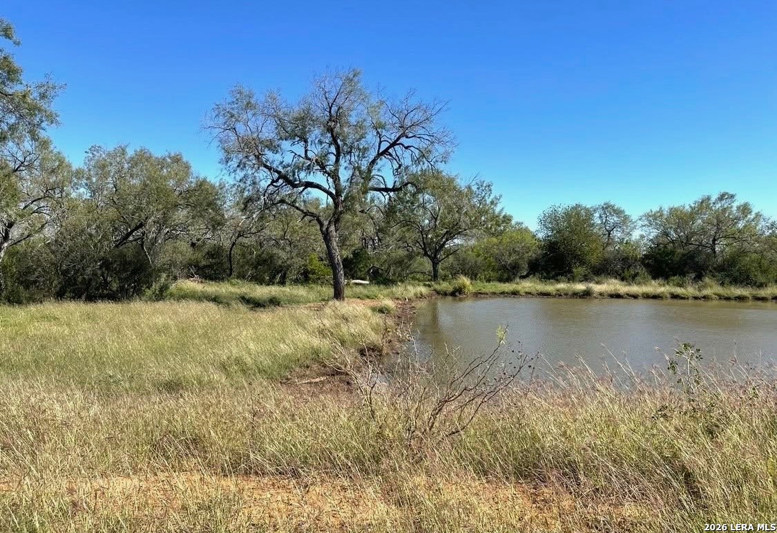 3968 Bluntzer Road Jourdanton TX 78026